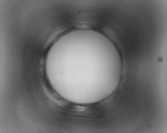 X0000111230167200907021407