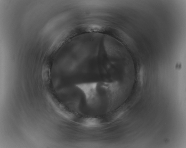 X0000111230169200907021407