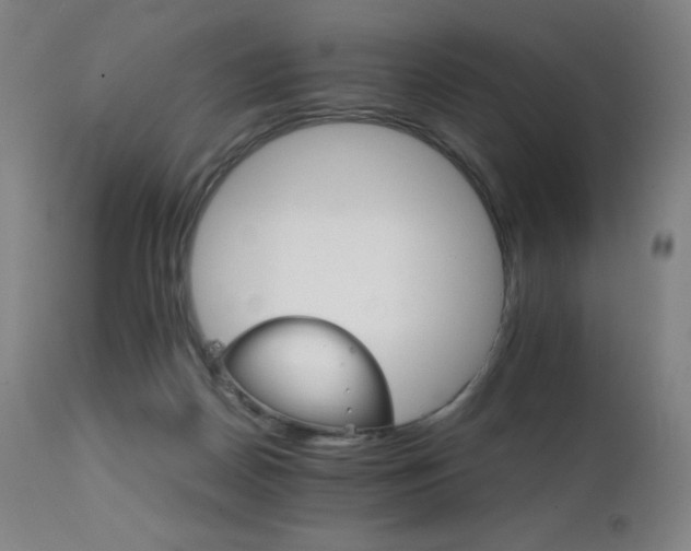 X0000111230170200907021407