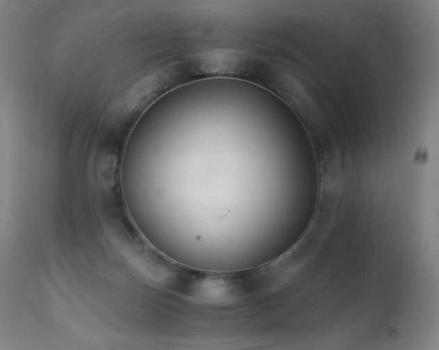 X0000111230171200907021407