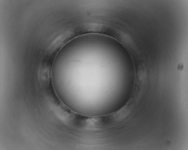 X0000111230172200907021407