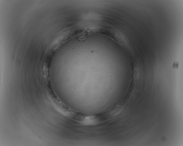 X0000111230173200907021407