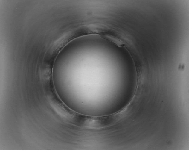 X0000111230174200907021407