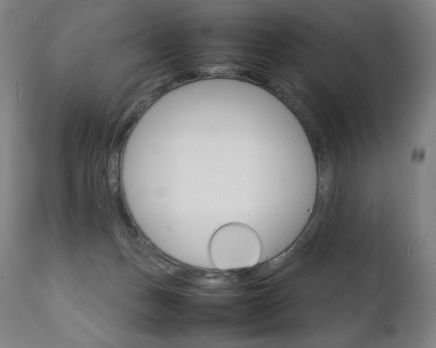 X0000111230175200907021407