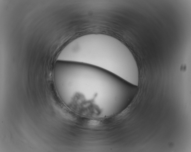 X0000111230176200907021407