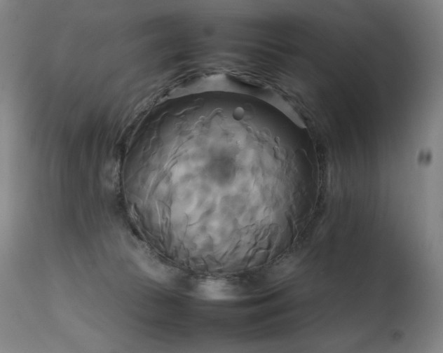 X0000111230177200907021407
