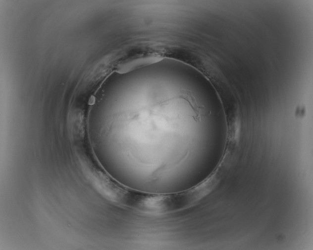 X0000111230178200907021407