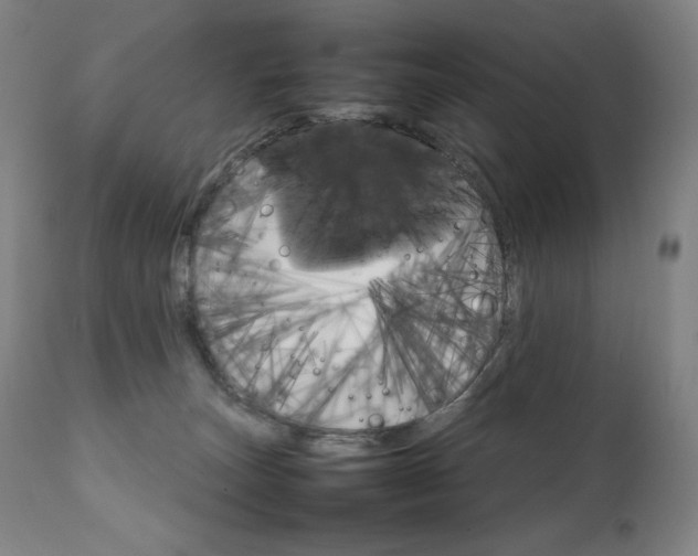 X0000111230179200907021407