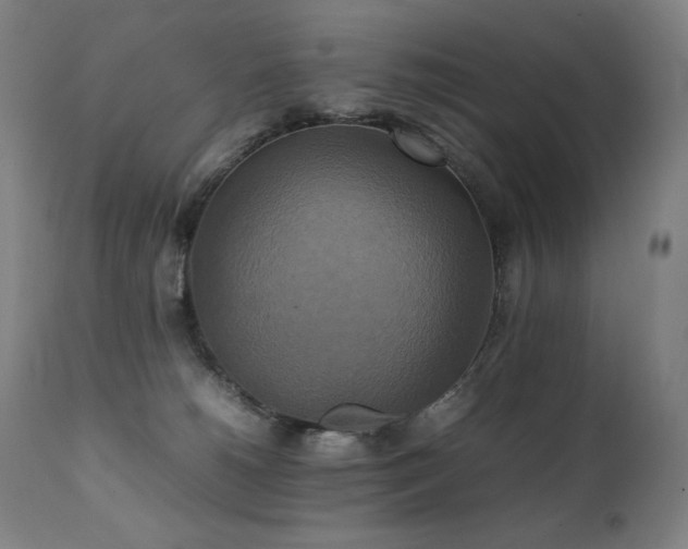 X0000111230180200907021407
