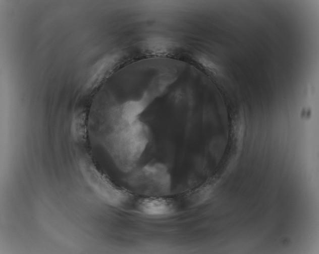 X0000111230181200907021407