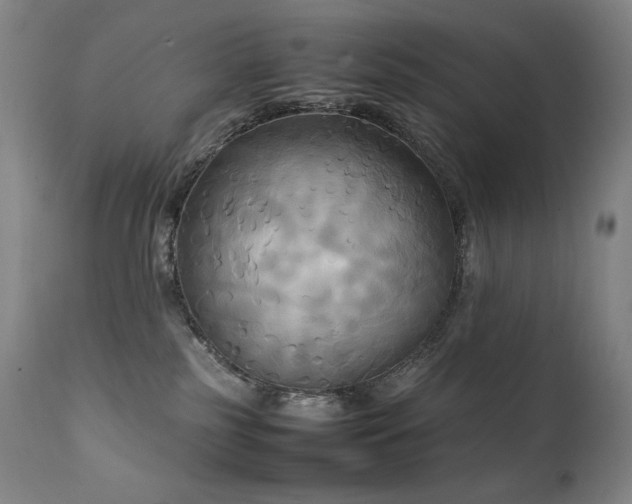 X0000111230185200907021407