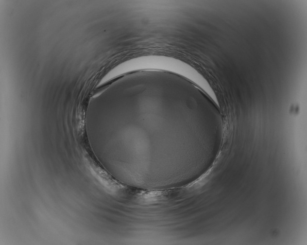 X0000111230186200907021407