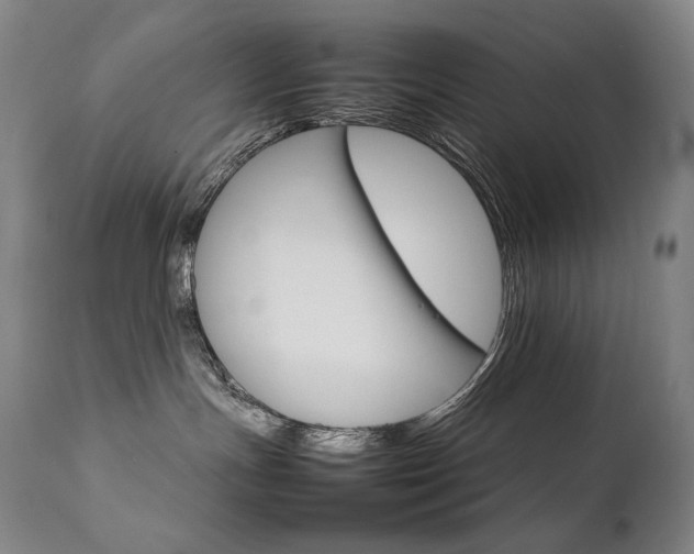 X0000111230191200907021408