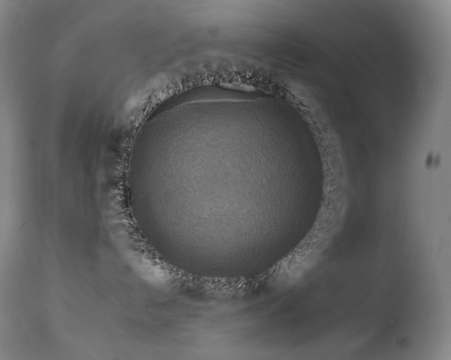 X0000111230192200907021408