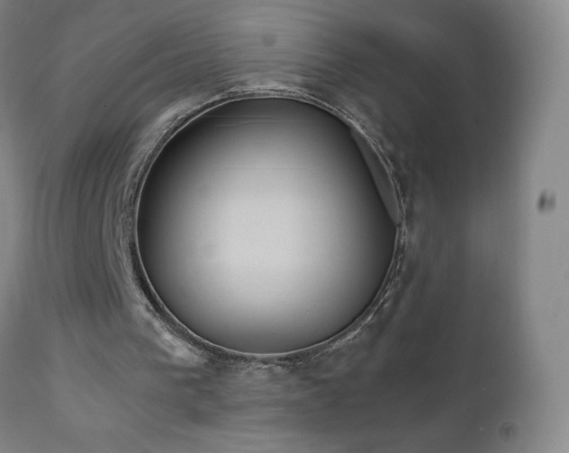 X0000111230193200907021407
