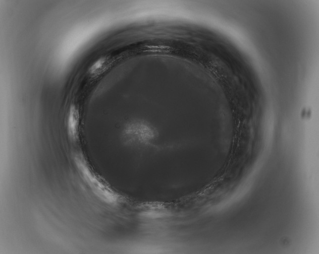 X0000111230194200907021407
