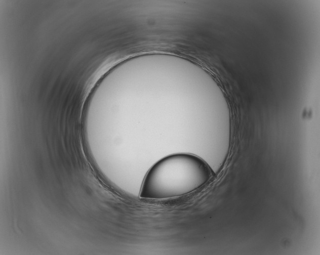 X0000111230195200907021407