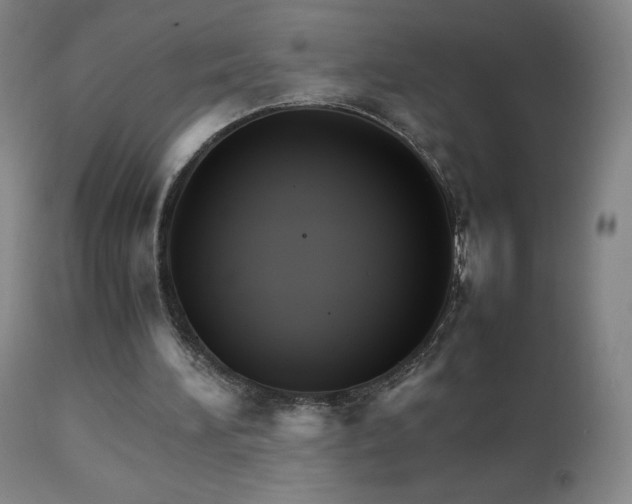 X0000111230196200907021407