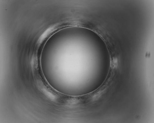 X0000111230198200907021407