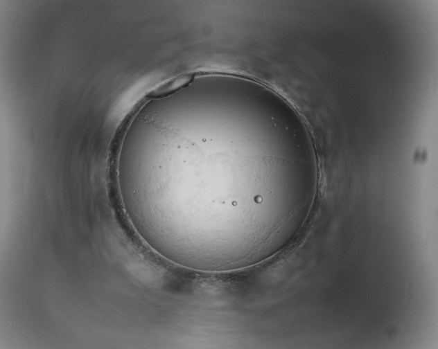 X0000111230199200907021407