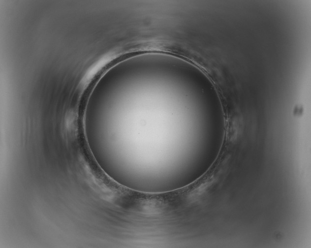 X0000111230200200907021407
