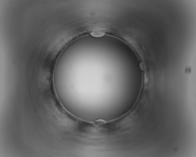 X0000111230201200907021407