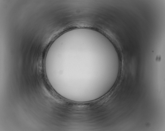 X0000111230202200907021407