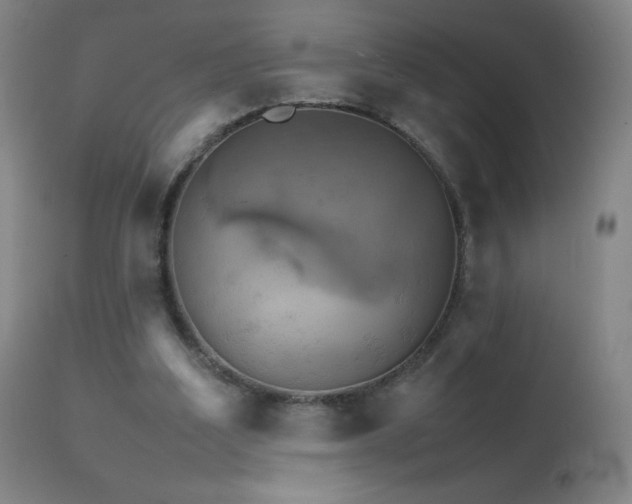 X0000111230203200907021407