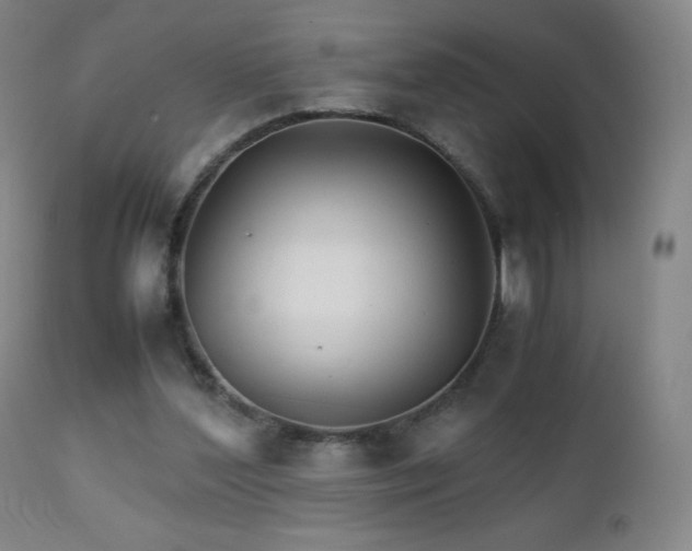 X0000111230204200907021407