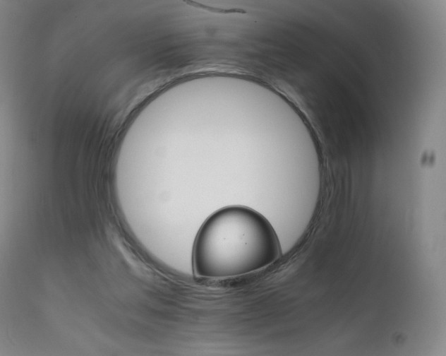 X0000111230205200907021407