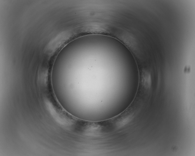 X0000111230206200907021407