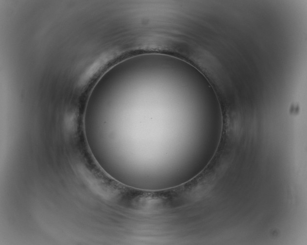 X0000111230208200907021407