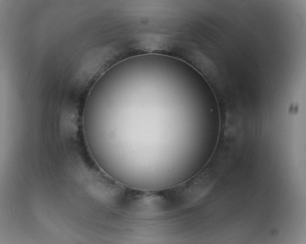 X0000111230210200907021407