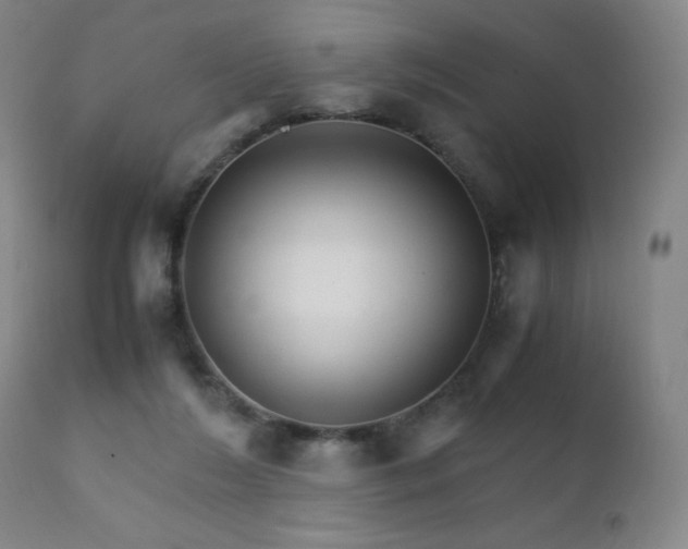 X0000111230212200907021407