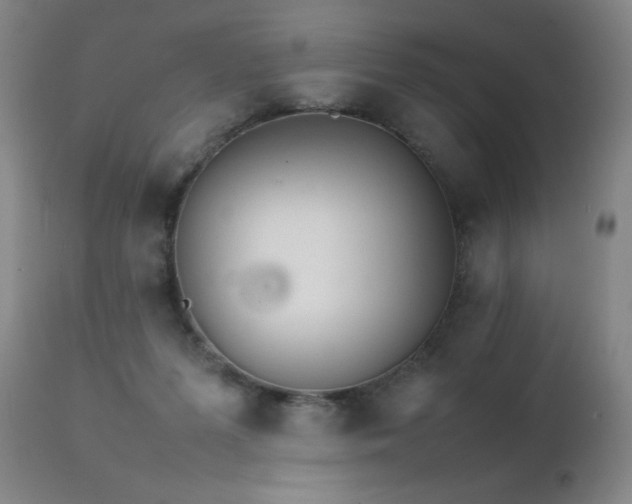 X0000111230215200907021407