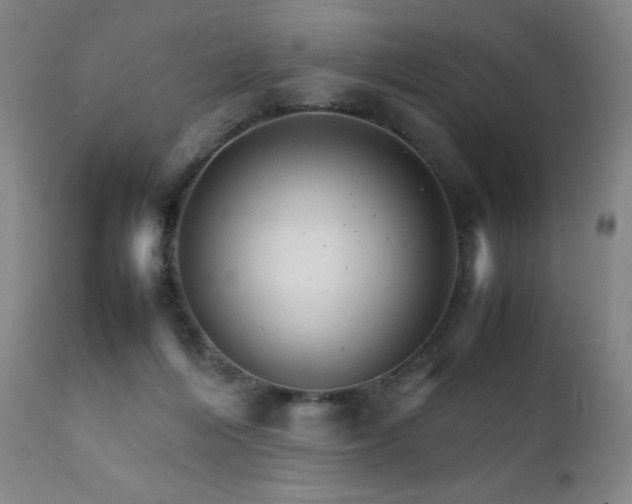 X0000111230216200907021407