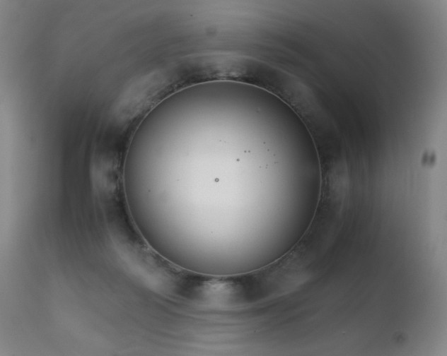 X0000111230218200907021407