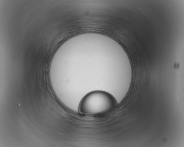 X0000111230219200907021407
