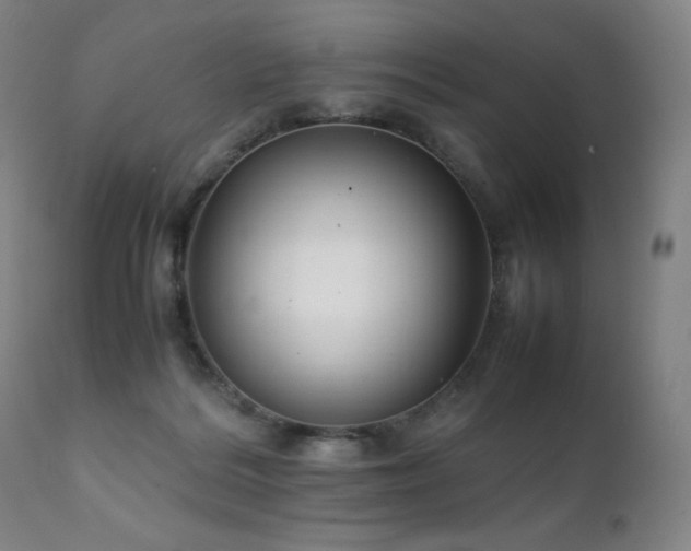 X0000111230220200907021406