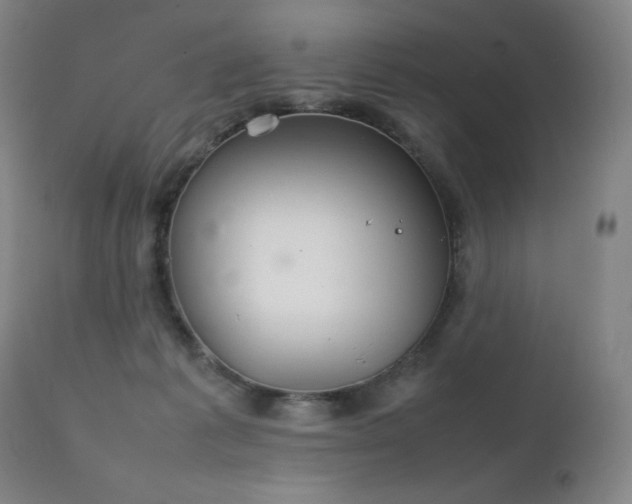 X0000111230221200907021406