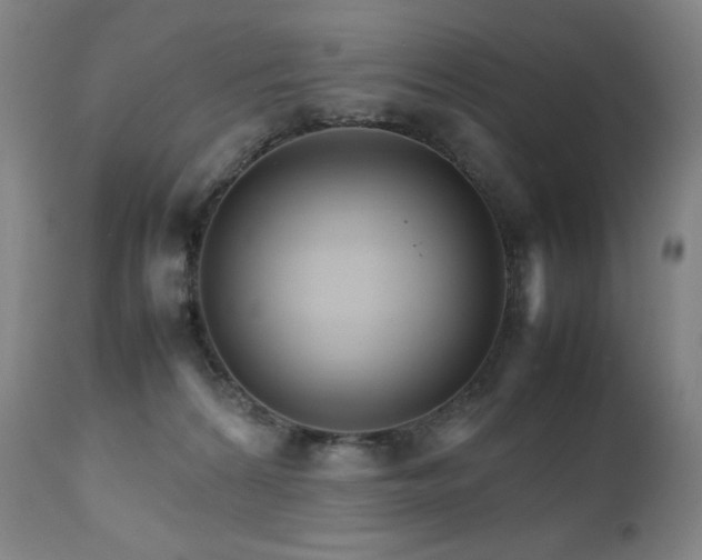 X0000111230224200907021406