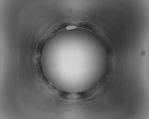 X0000111230225200907021406