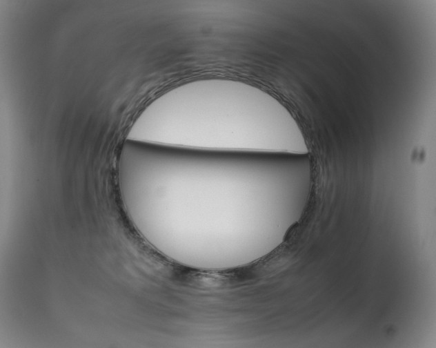X0000111230229200907021406