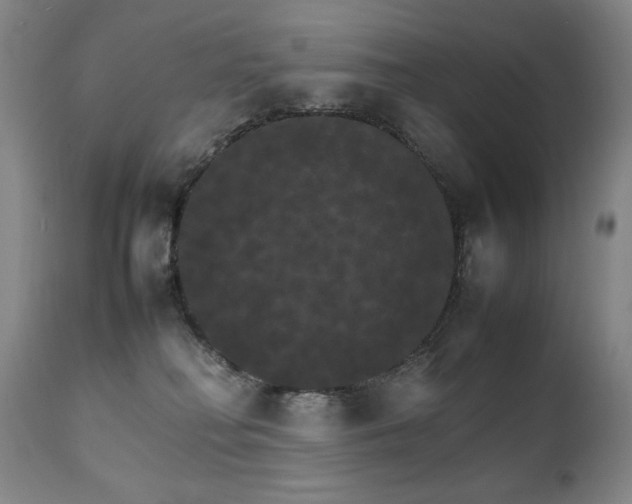 X0000111230230200907021406