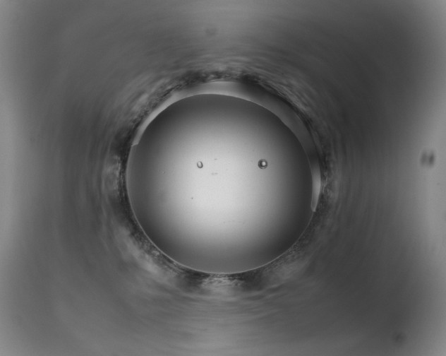 X0000111230231200907021406