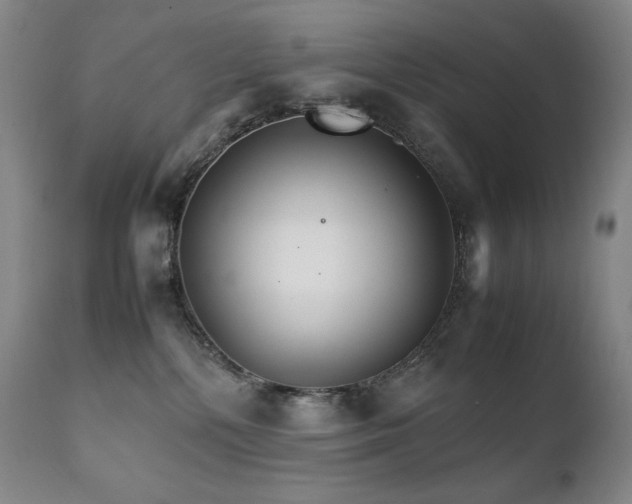 X0000111230232200907021406