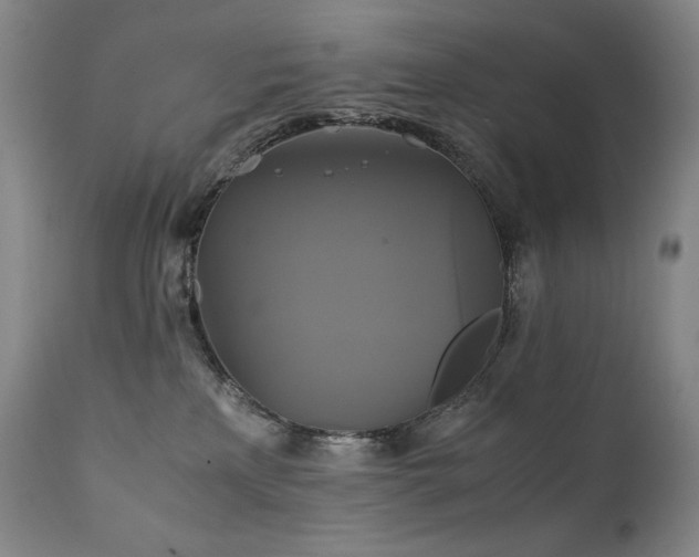 X0000111230233200907021406