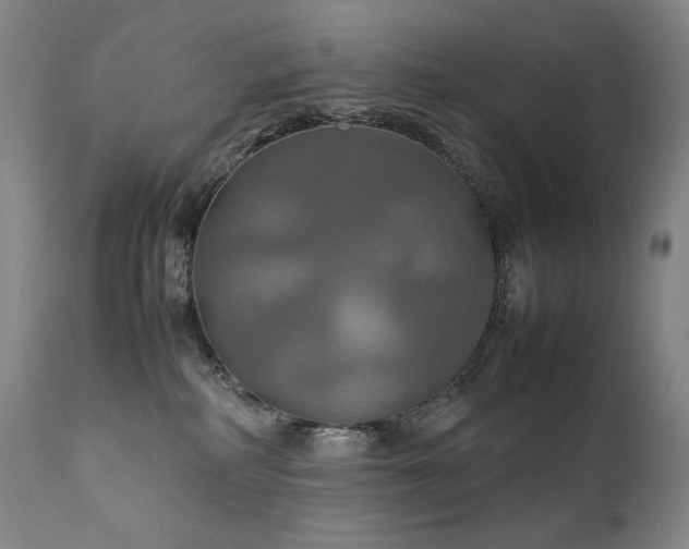 X0000111230234200907021406