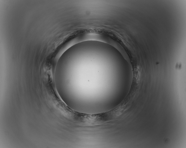 X0000111230235200907021406