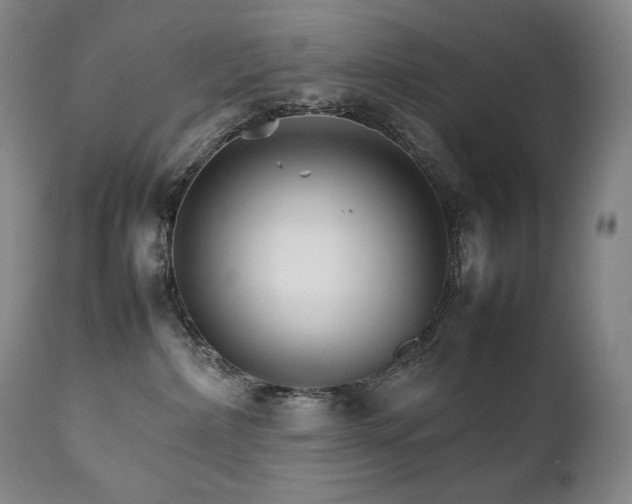 X0000111230236200907021406